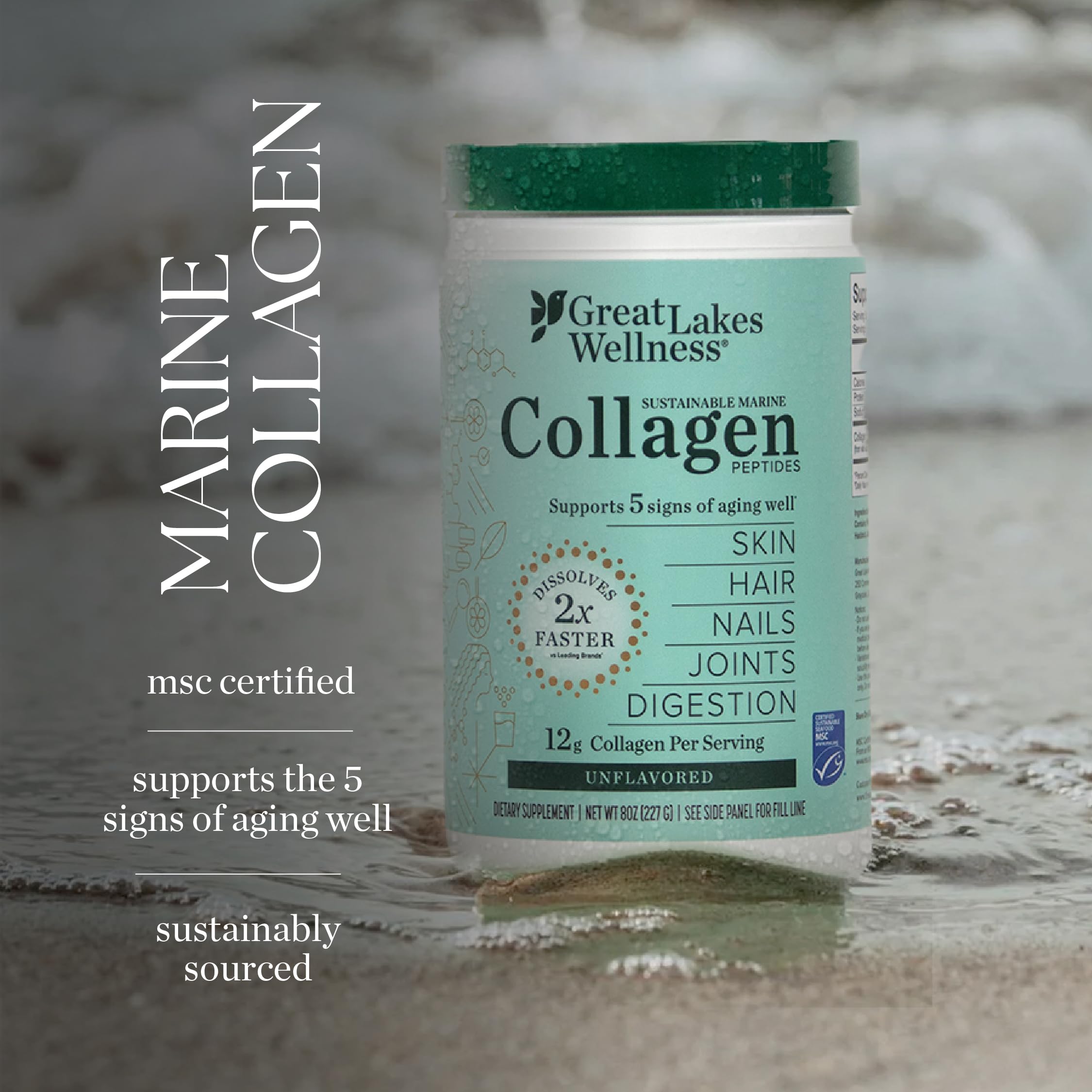 Great Lakes Wellness Collagen Peptides Recette Santé — polyvalent en recettes nourrissantes.