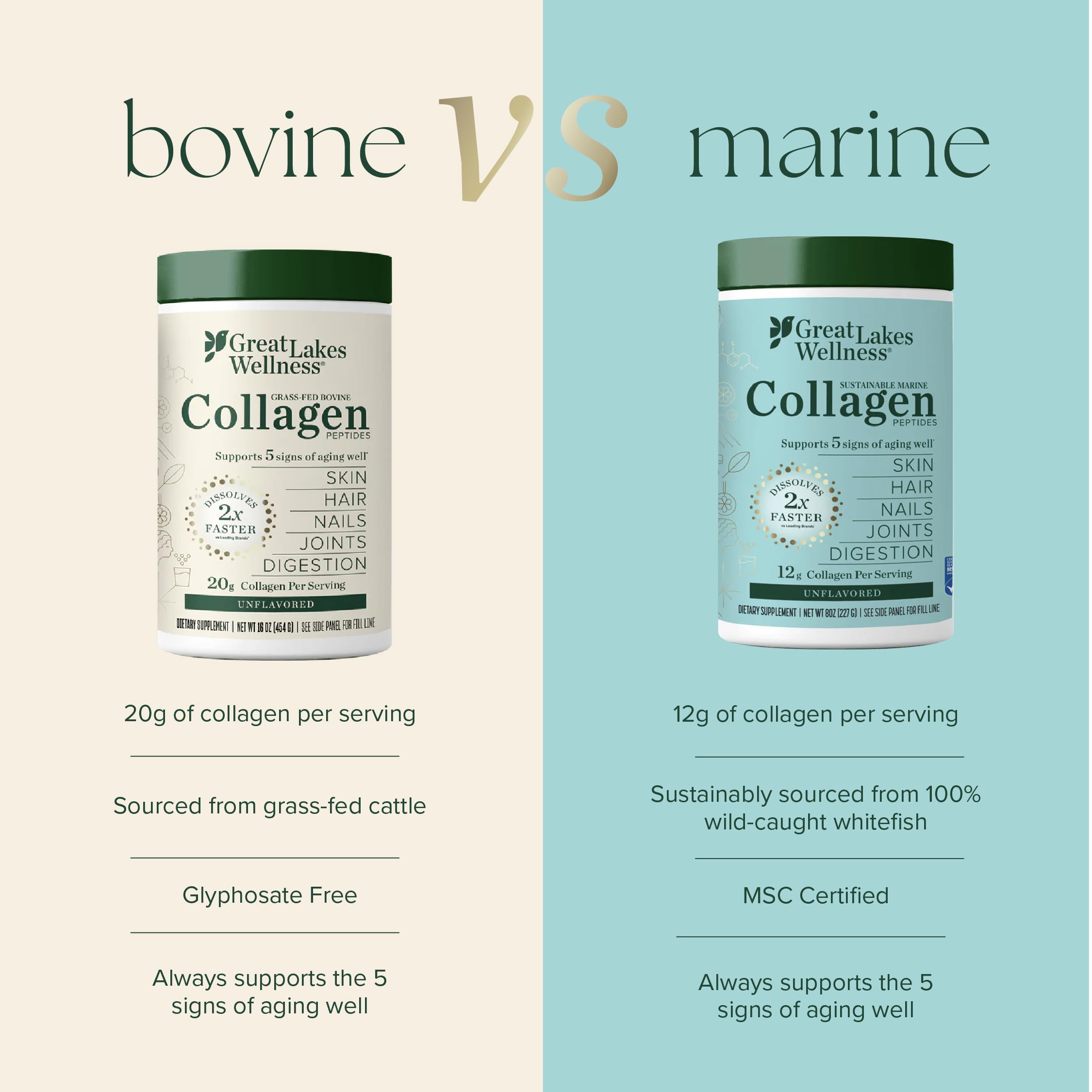 Great Lakes Wellness Collagen Peptides Smoothie — ajoute une consistance onctueuse sans goût.