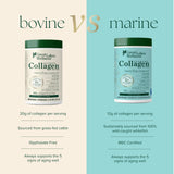 Great Lakes Wellness Collagen Peptides Smoothie — ajoute une consistance onctueuse sans goût.