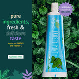Green Beaver Frosty Mint, parfum menthe rafraîchissant pour le quotidien.