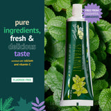 Dentifrice Green Beaver menthe verte - sensation de fraîcheur après brossage
