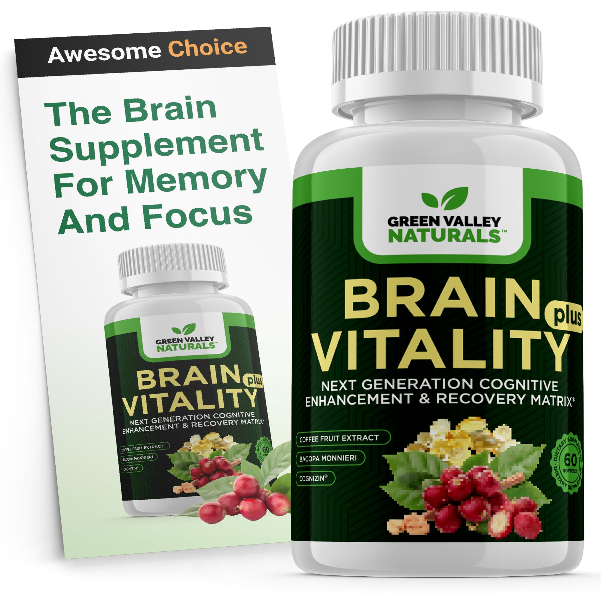 GREEN VALLEY NATURALS Brain Vitality Plus – bouteille: soutien à la concentration et énergie mentale