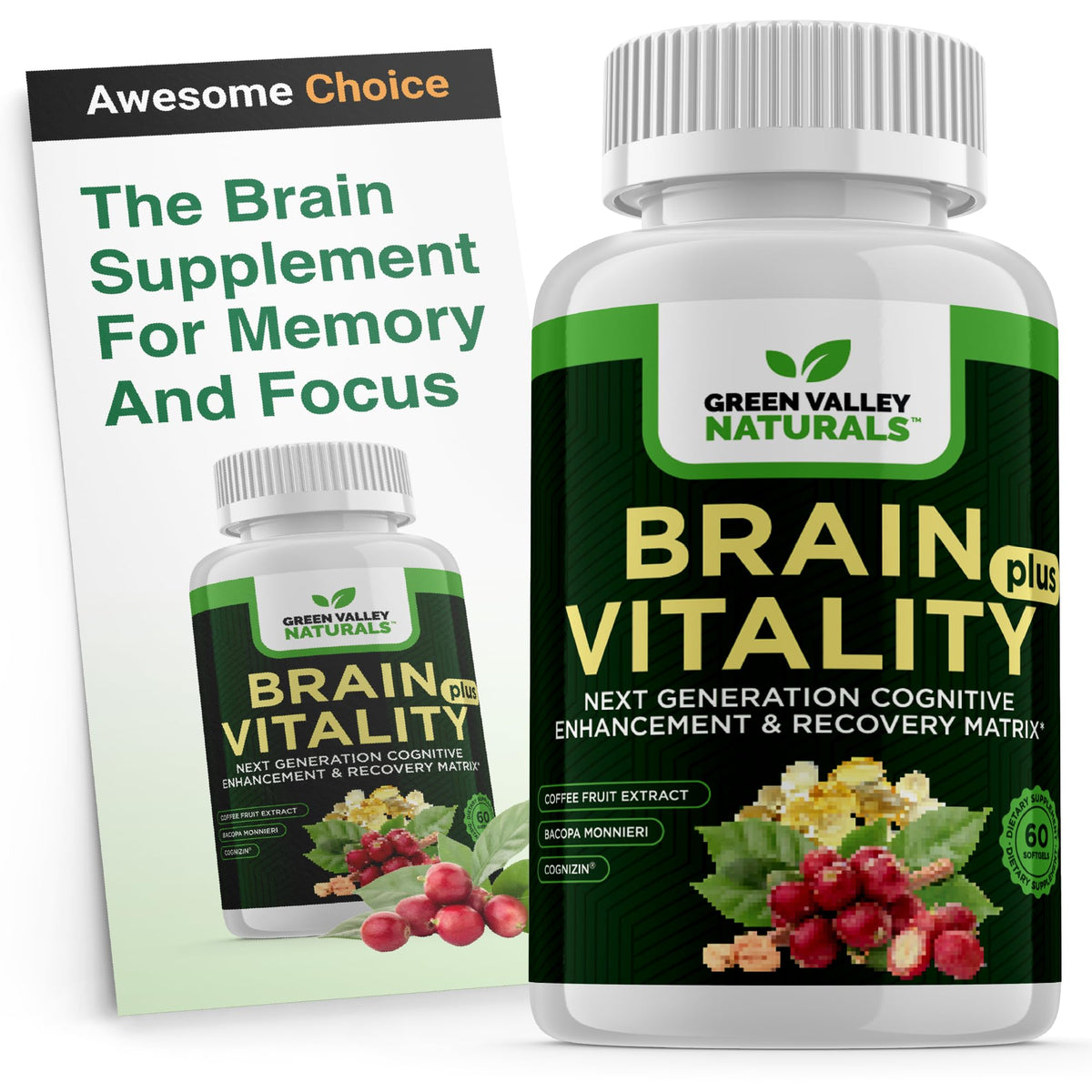 GREEN VALLEY NATURALS Brain Vitality Plus – bouteille: soutien à la concentration et énergie mentale