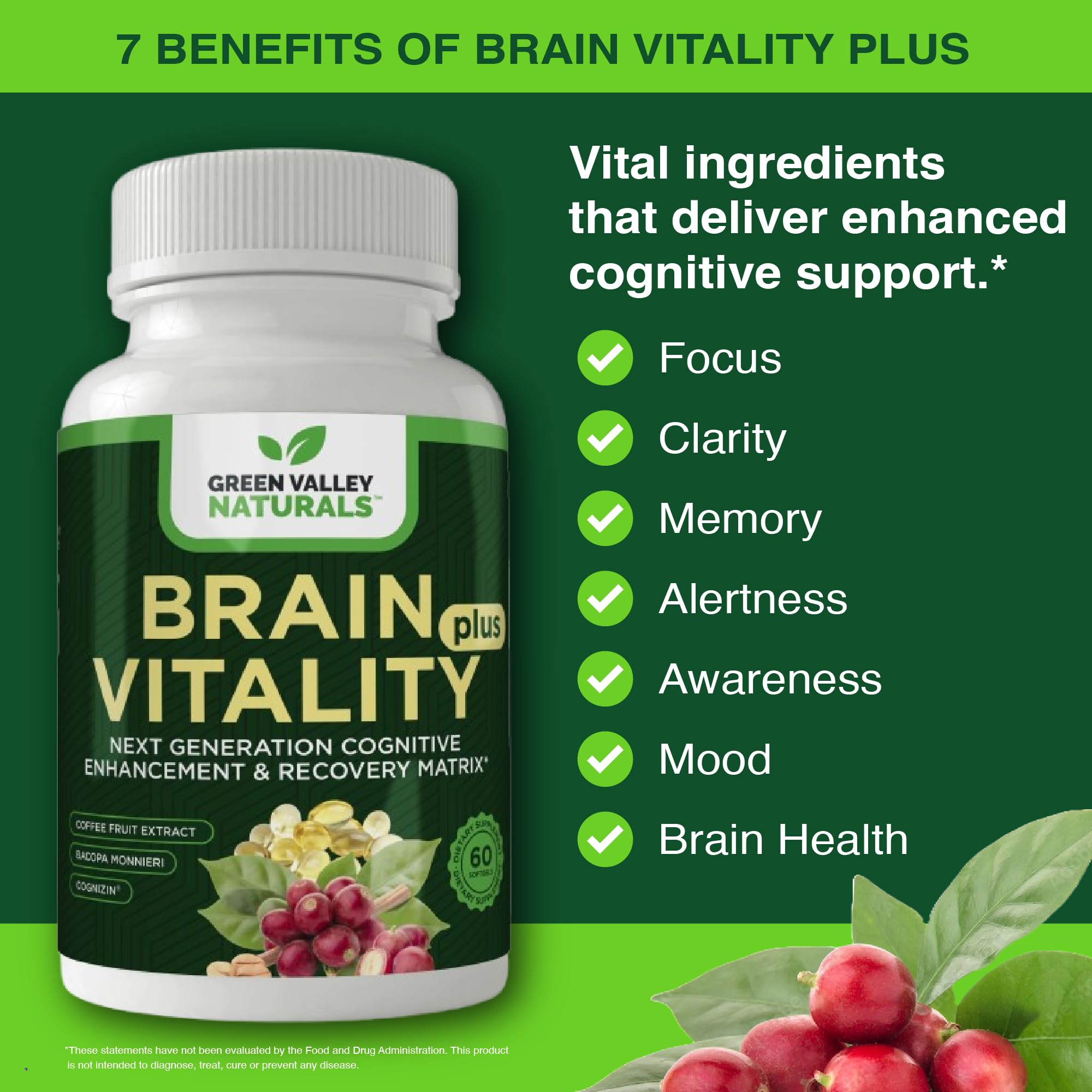 GREEN VALLEY NATURALS Brain Vitality Plus – capsules faciles à prendre pour une concentration durable