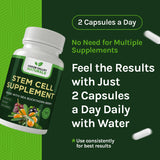 Green Valley Naturals Stem Cell Restore – extrait de raisin rouge pour la circulation.