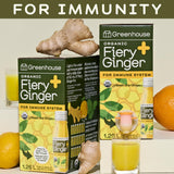 Ingrédients biologiques: gingembre, curcuma, citron, poivre noir et origan