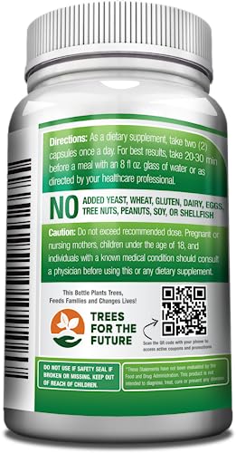 GreeNatr bouteille Moringa ouverte: démarrage rapide et énergie durable.