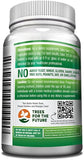 GreeNatr bouteille Moringa ouverte: démarrage rapide et énergie durable.