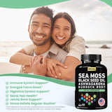Grevol fucus extrait – nutriments naturels visibles et soutien possible.