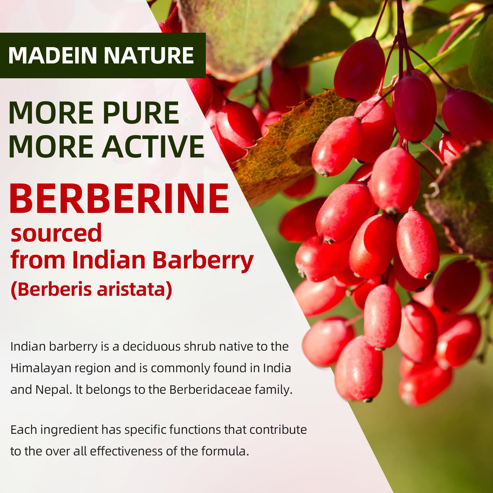 Laboratoire GrnLife Berberine Gummies – contrôle qualité et sécurité affichés.