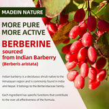 Laboratoire GrnLife Berberine Gummies – contrôle qualité et sécurité affichés.