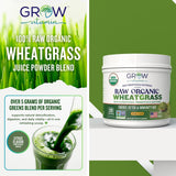 grow vitamin wheatgrass-boite-emballage – présentation pratique et rangement facile.