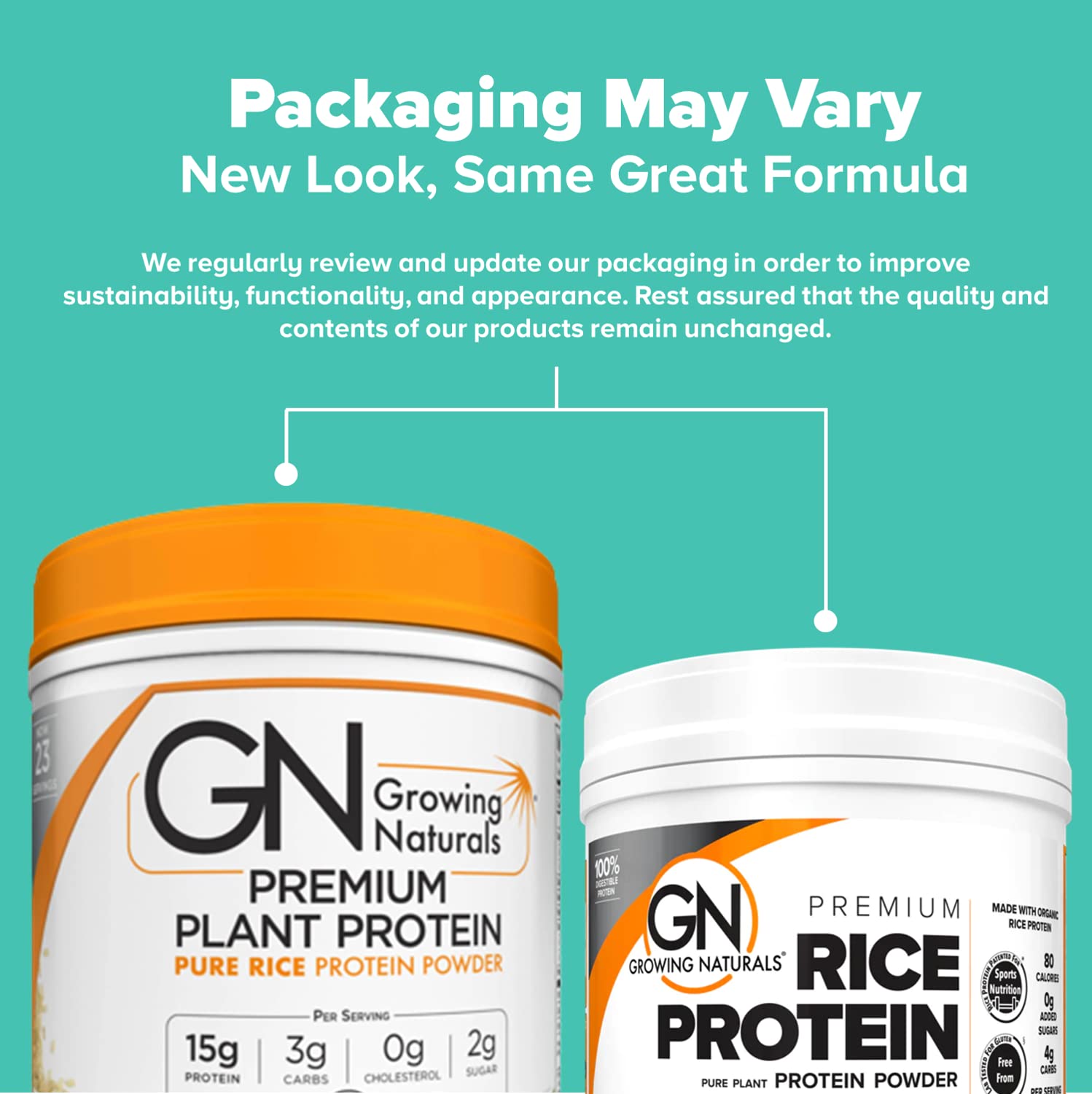 Growing Naturals Riz Protéine Idées Utilisation: smoothies et desserts sains et savoureux