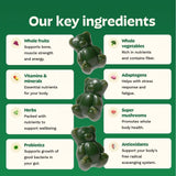 Gommes Grüns fibres 6 g, soutien digestif et satiété durable.