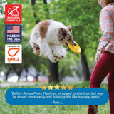Guardian's Choice Omega3 chien: formule naturelle sans additifs artificiels.