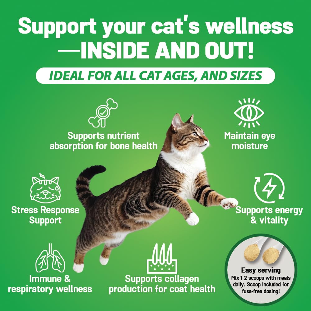 Guardian's Choice Lysine pour chats – mélanger facilement dans la nourriture humide.