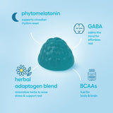 Gummly Jet Lag Gummies energie-equilibre suggere un soutien potentiel pour rester alerte en voyage.
