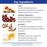 Gundry MD Power Phenols — prise matinale en capsules facile