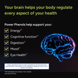 Gundry MD Power Phenols — tableau ingrédients, sources neuro-support