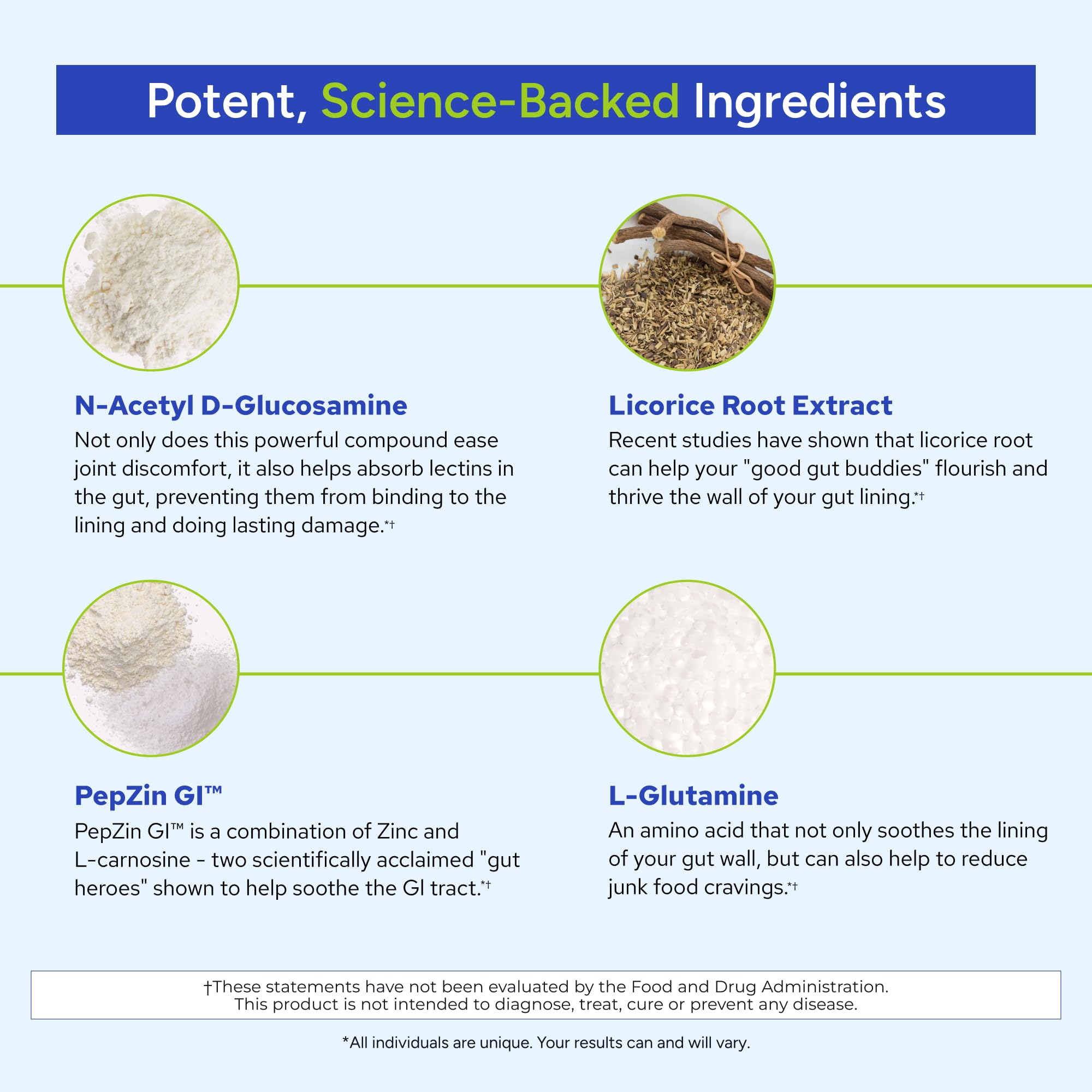 Gundry MD Total Restore — immunité renforcée grâce aux antioxydants naturels.