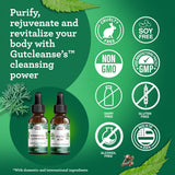 GuruNanda Gutcleanse kit – conseils d’utilisation faciles à suivre.