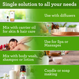 Soin capillaire maison avec Tea Tree et shampoing.
