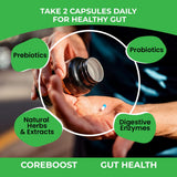 GUTVED ingrédients curcuma gingembre ajwain soutiennent l'équilibre intestinal.