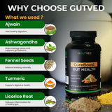 GUTVED prébiotique inuline soutient la digestion et la régularité.