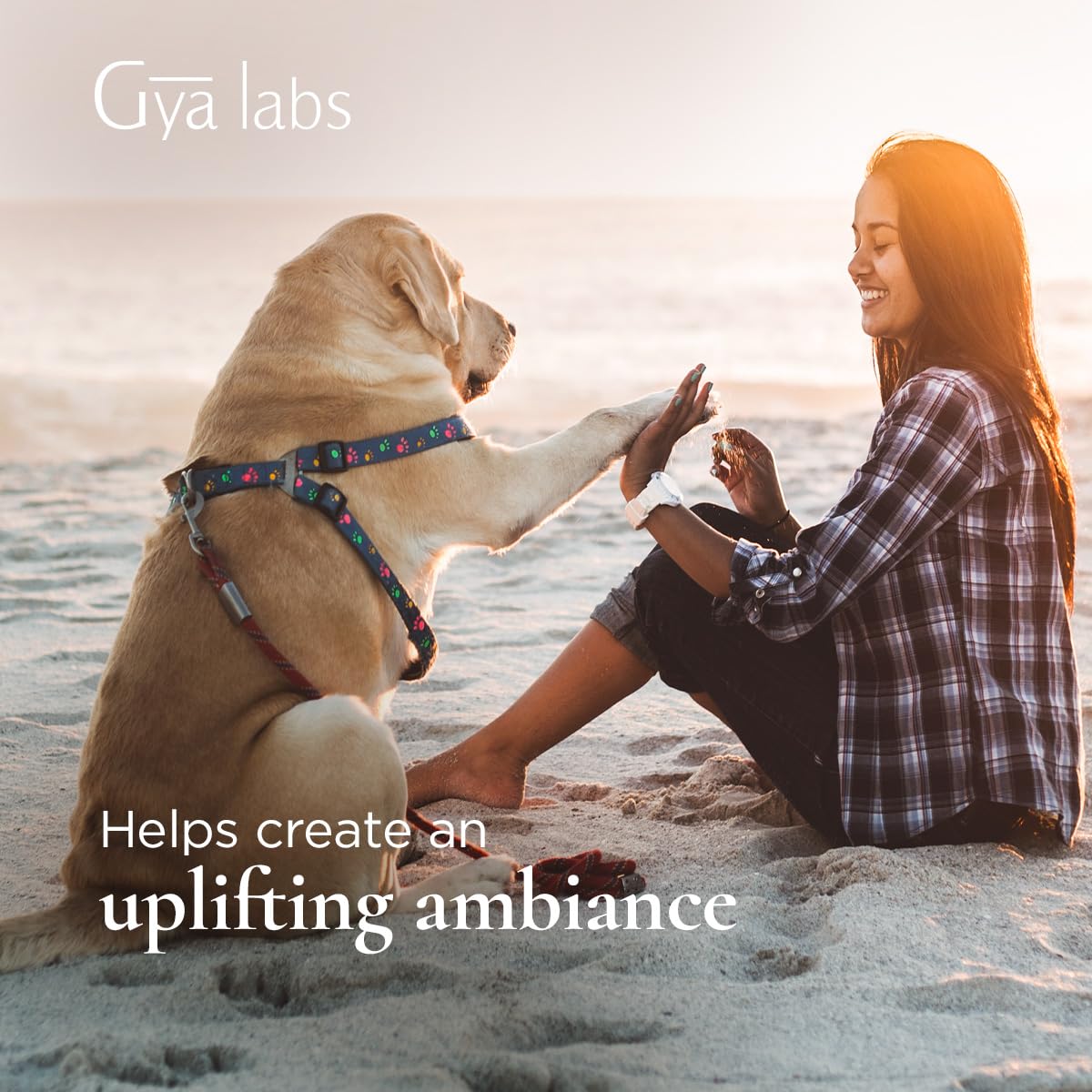 Gya Labs hydrosol citronnelle – aromathérapie légère pour moments zen et revitalisants.