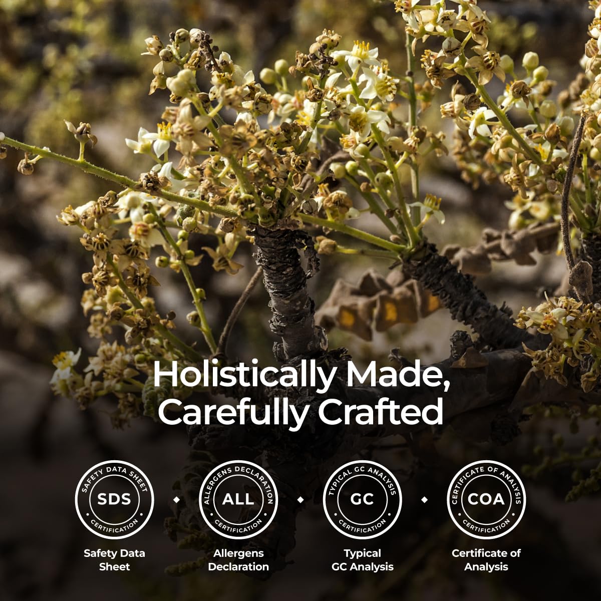 Routine de relaxation avec l'huile d'encens Gya Labs et diffusion.