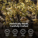 Routine de relaxation avec l'huile d'encens Gya Labs et diffusion.