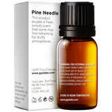 Gya Labs huile essentielle de pin dans diffuseur, parfum boisé rafraîchissant.