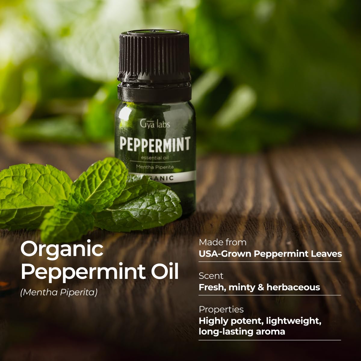 Huile menthe pure Gya Labs pour soin peau diluée
