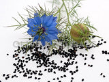 Gye Nyame Bitters nigelle moringa, goutte facile à doser pour votre bien-être quotidien.