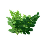 Gye Nyame Bitters nigelle moringa – ingrédients visibles pour transparence et pureté.