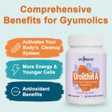 Gyumolics Urolithin A capsules, pratique pour une prise quotidienne et simple.