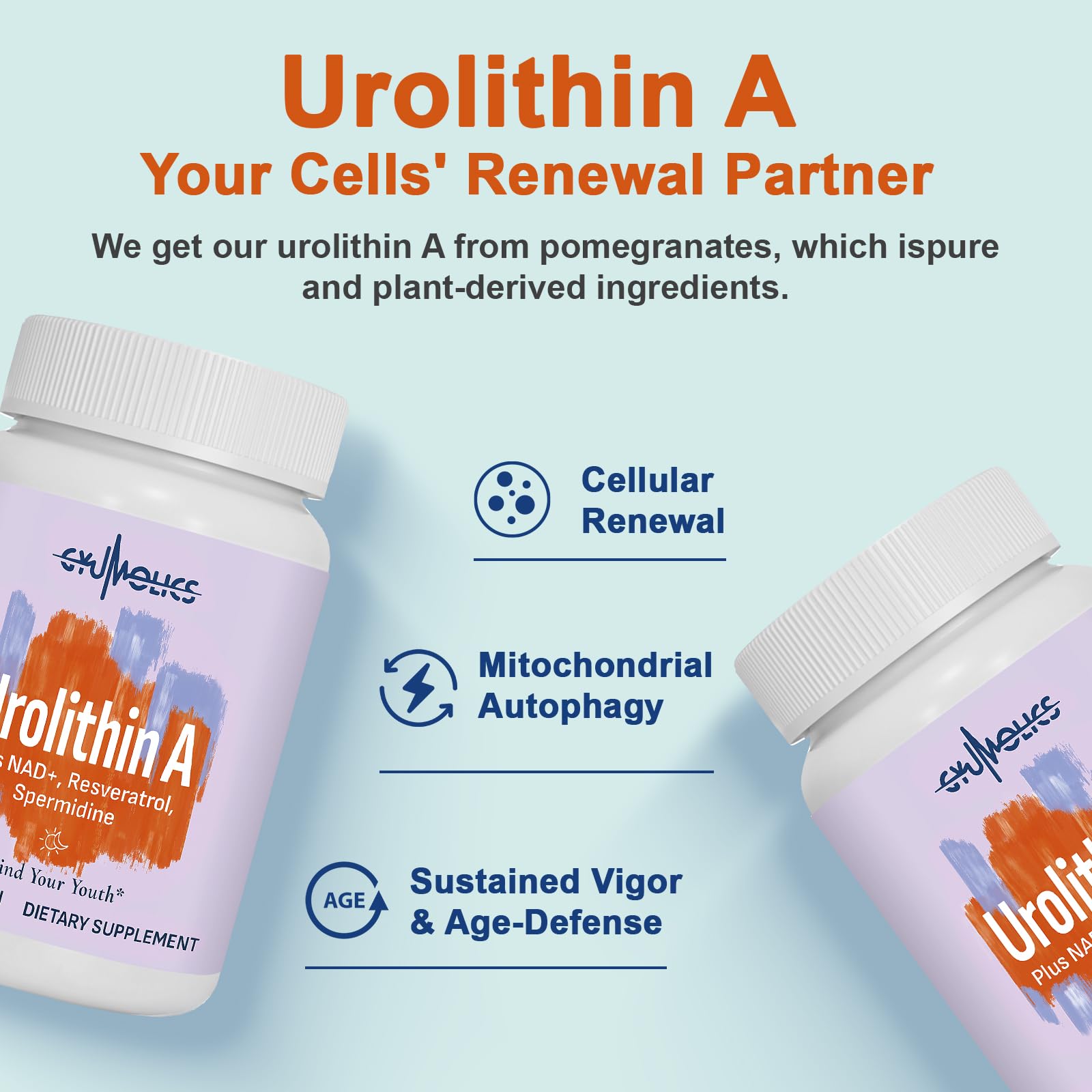 Gyumolics Urolithin A emballage, facilité d'utilisation au quotidien.