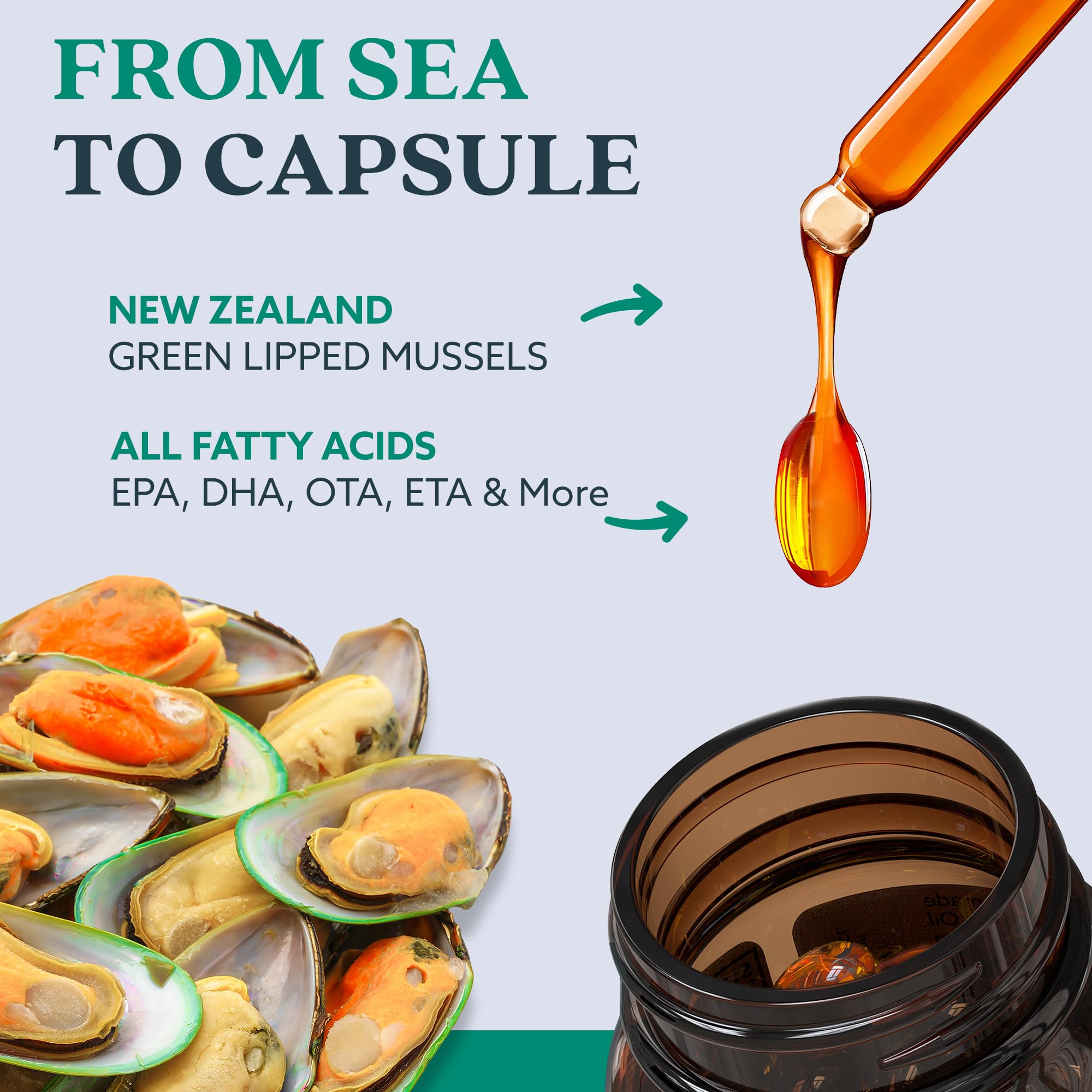 Capsules GLX3: petites et faciles à avaler pour une prise quotidienne simple.