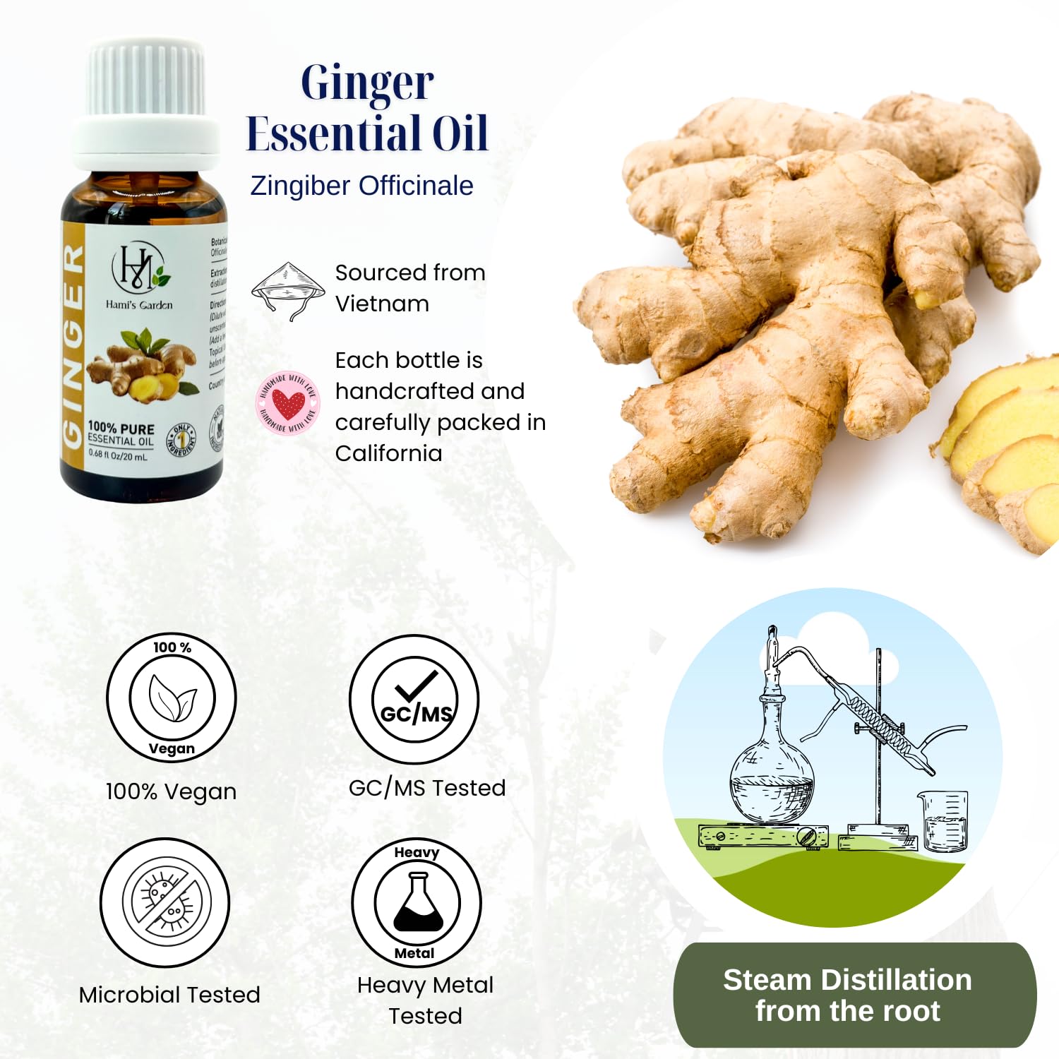 Hami's Garden gingembre huile essentielle – bougies faites maison et parfum épicé