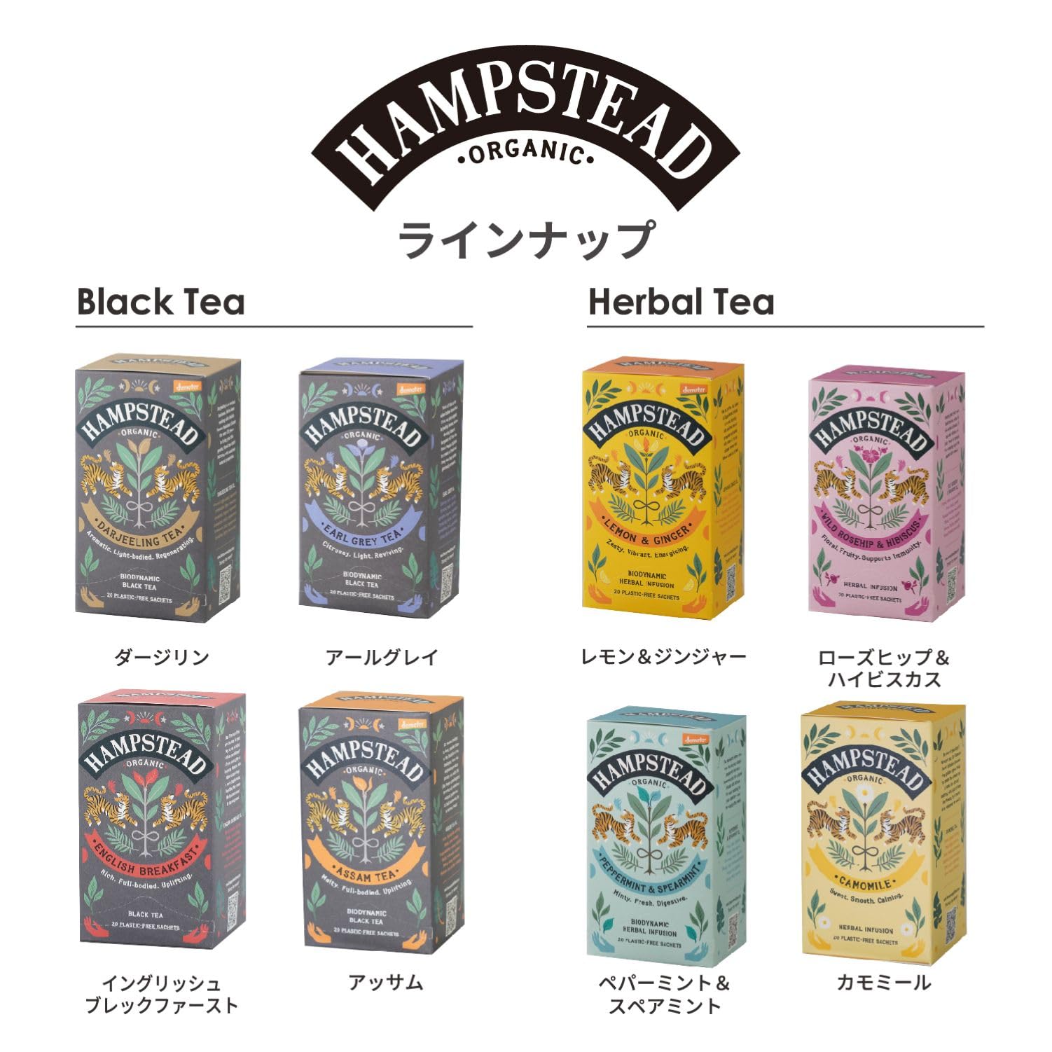 Hampstead Tea Care Camomille – arômes floraux et notes douces visibles.