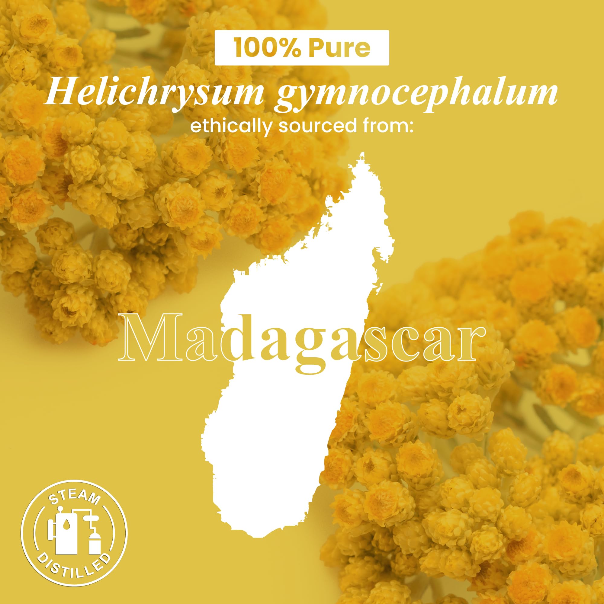 Kit bricolage diffusion Handcraft Blends Helichrysum pour parfum durable.