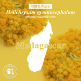 Kit bricolage diffusion Handcraft Blends Helichrysum pour parfum durable.