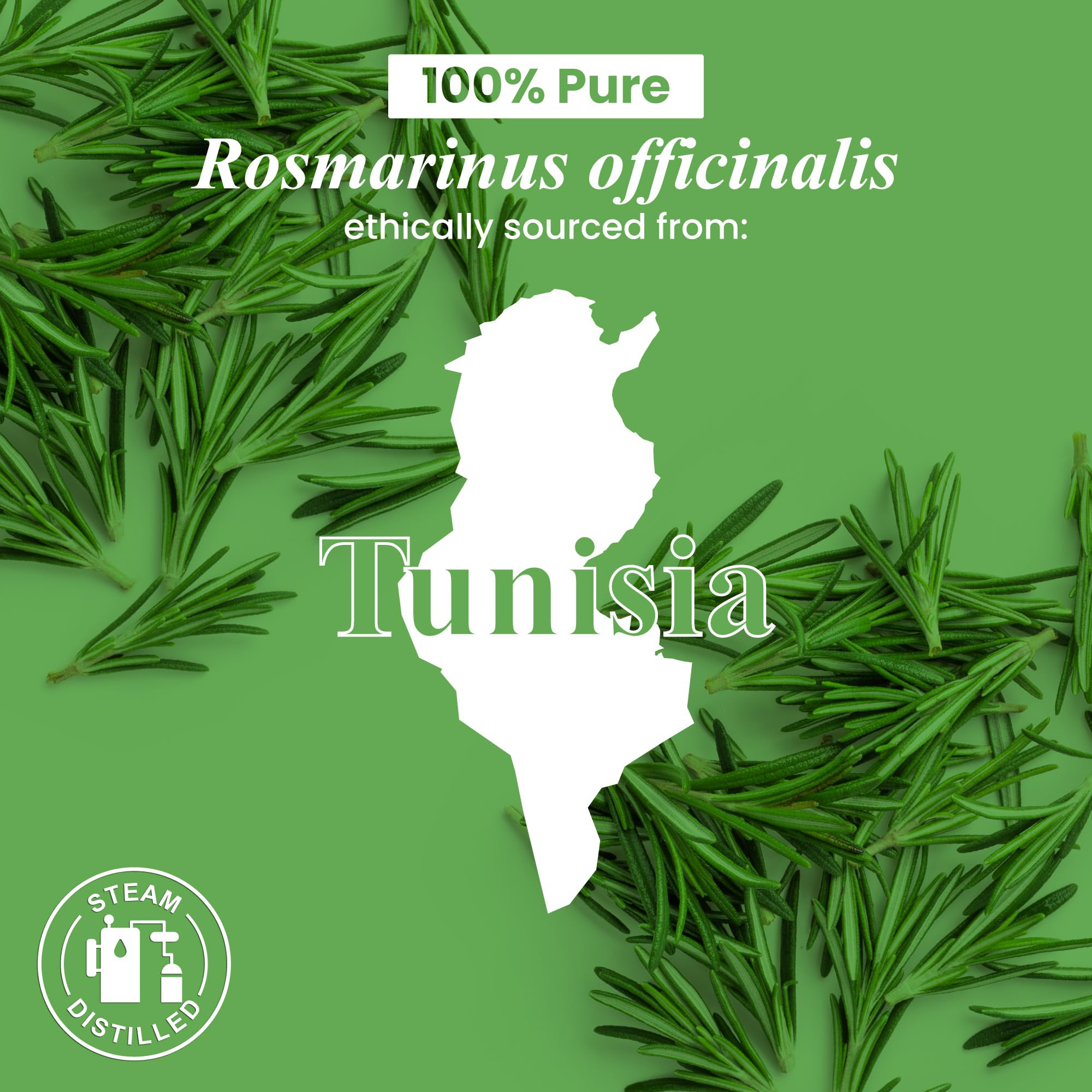 Produit fabriqué aux États-Unis: romarin Handcraft Blends qualité mondiale.