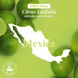 Handcraft Blends Lime, bain aromatique pour spa à domicile.