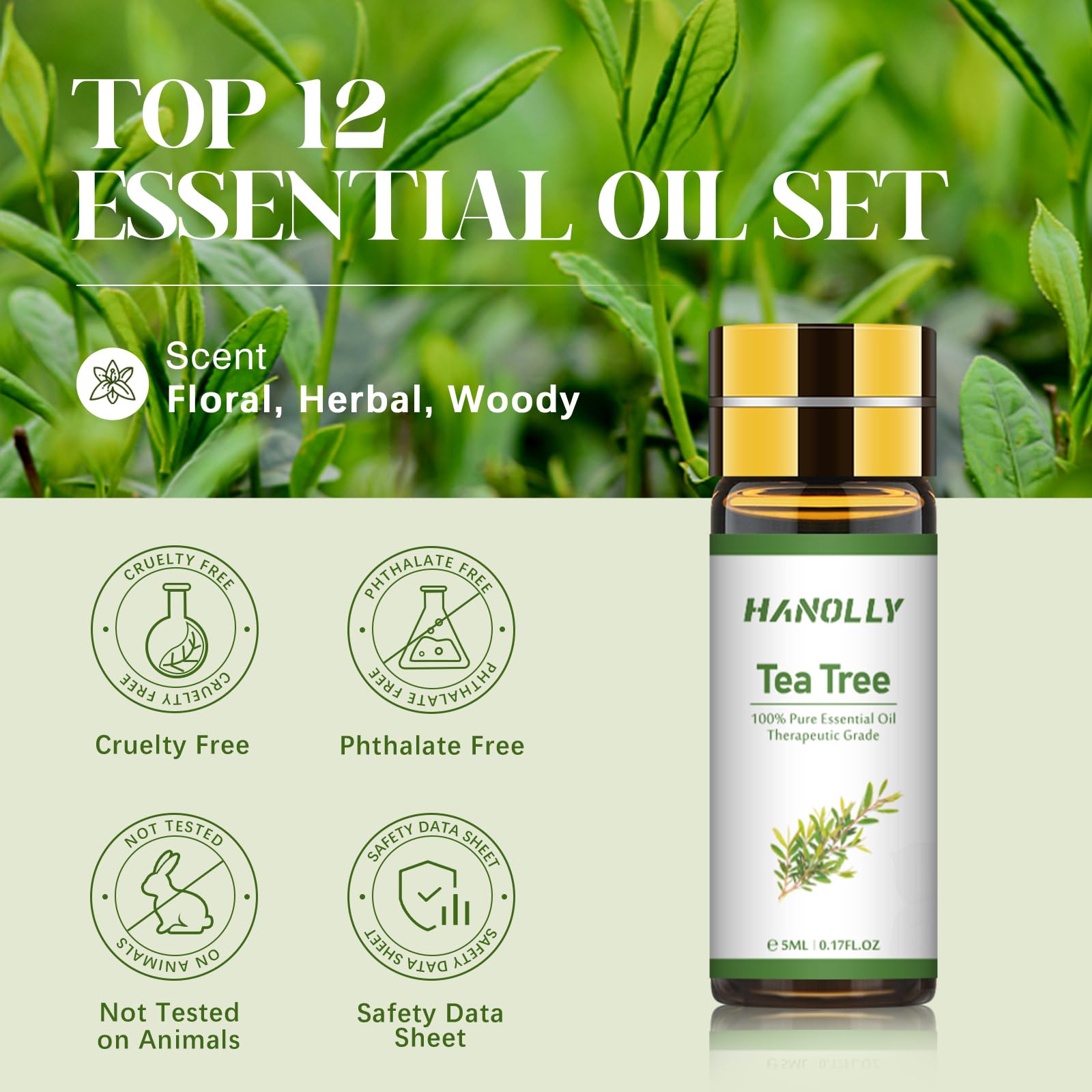 Hanolly boîte cadeau: coffret élégant pour cadeaux d'aromathérapie et création maison.