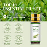 Hanolly boîte cadeau: coffret élégant pour cadeaux d'aromathérapie et création maison.