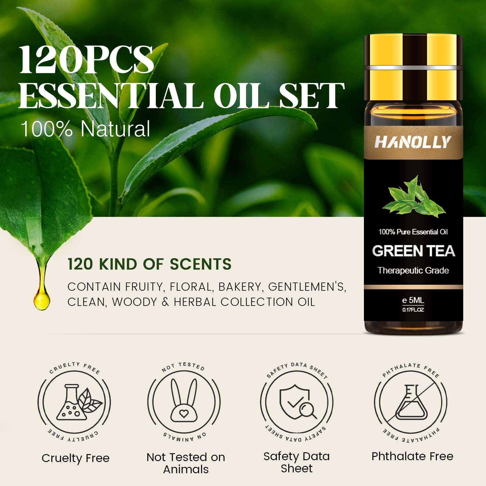 Hanolly bouteilles ambre 5 ml préservent arômes et qualité