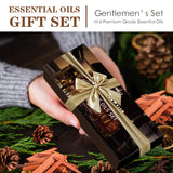 Hanolly coffret huiles pour hommes 6x10 ml, cadeau élégant.