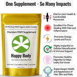 HAPPY BODY emballage pratique d'un pot 1 livre de MSM