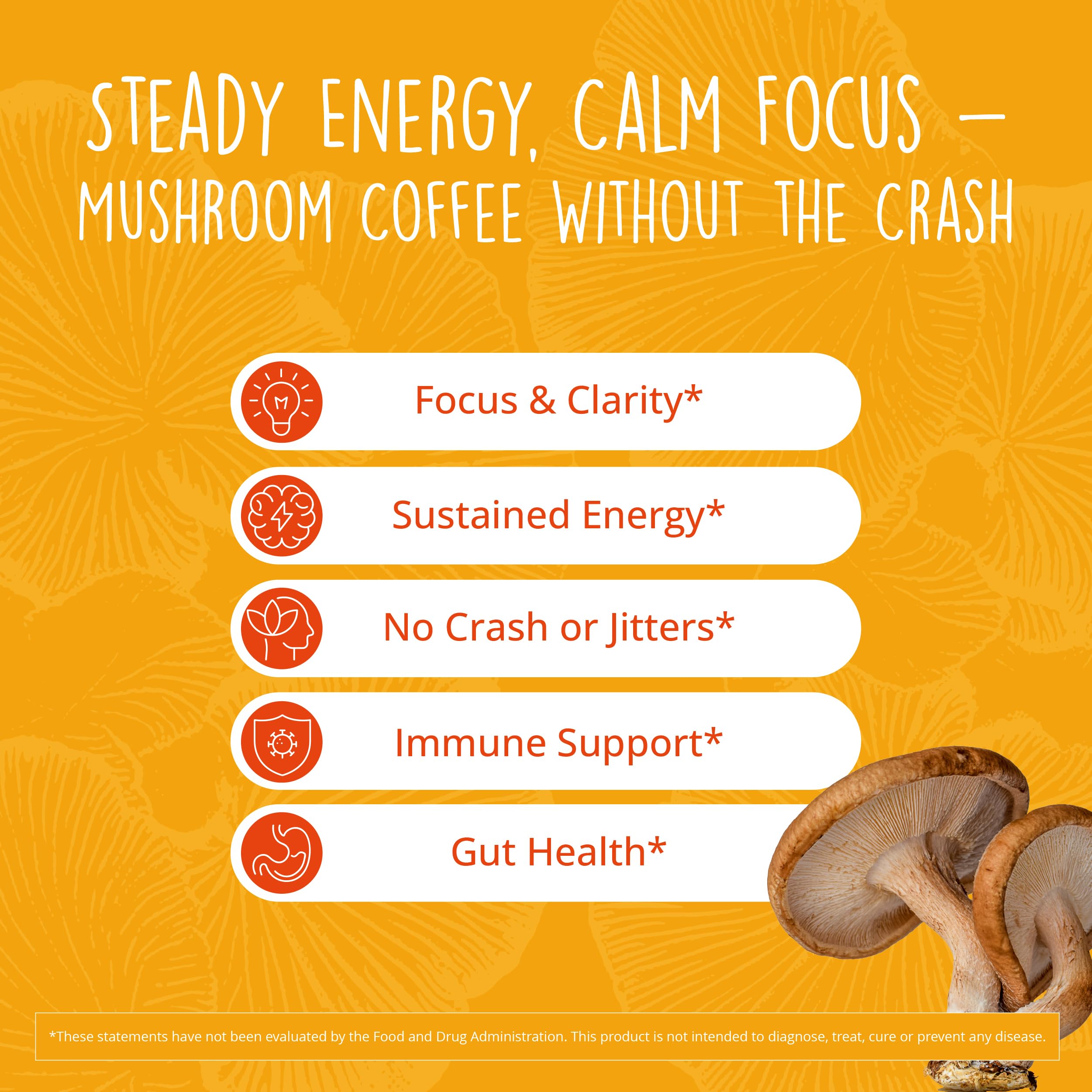 Sachets individuels Happy Healthy Hippie champignons instant, portions faciles à doser.